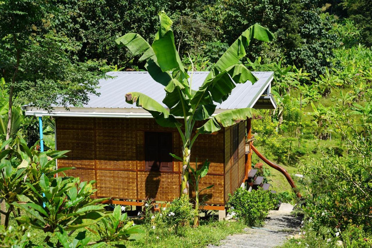 True Nature Chiang Mai - Yoga & Meditation Homestay Retreat Экстерьер фото