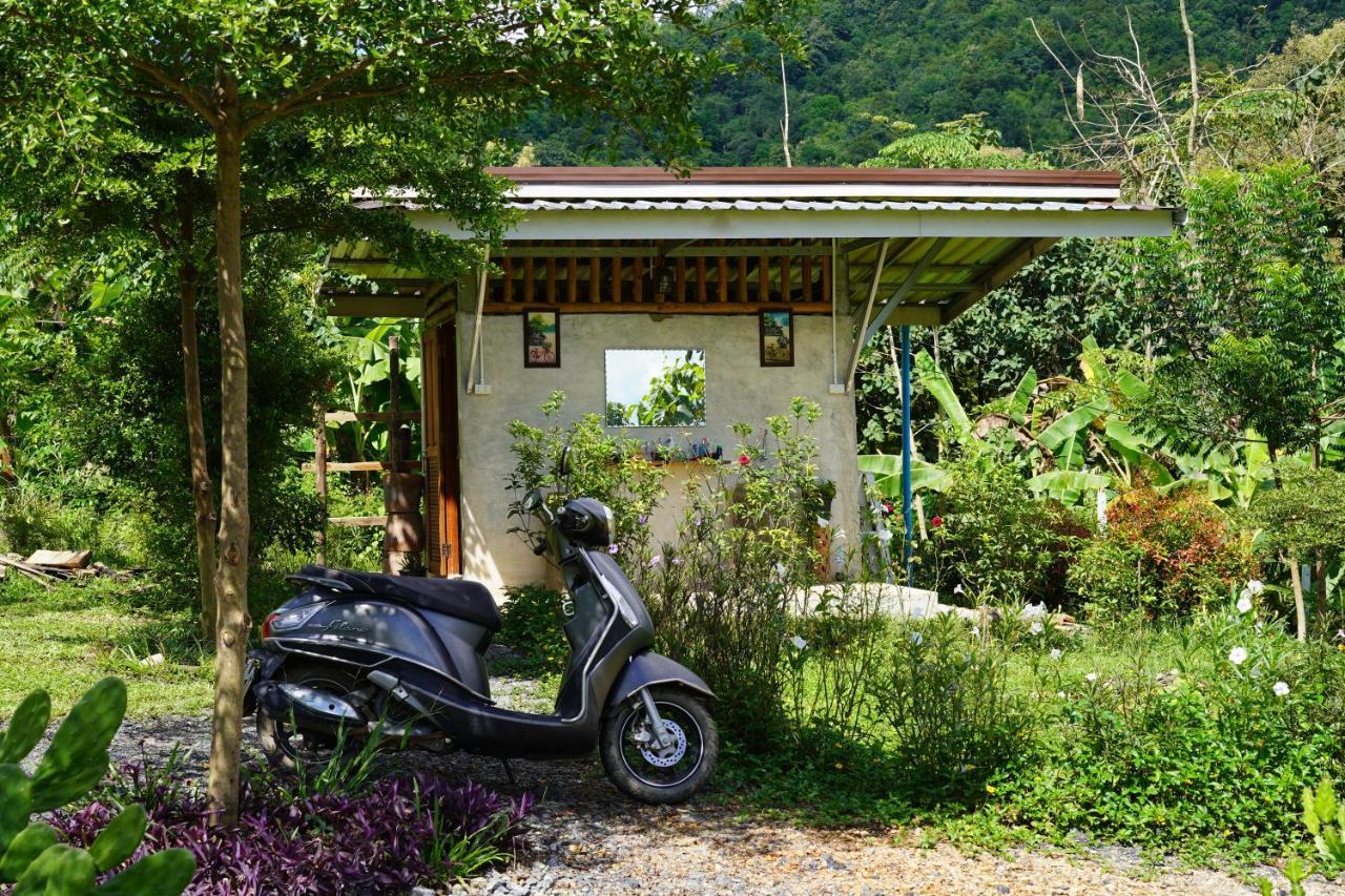 True Nature Chiang Mai - Yoga & Meditation Homestay Retreat Экстерьер фото