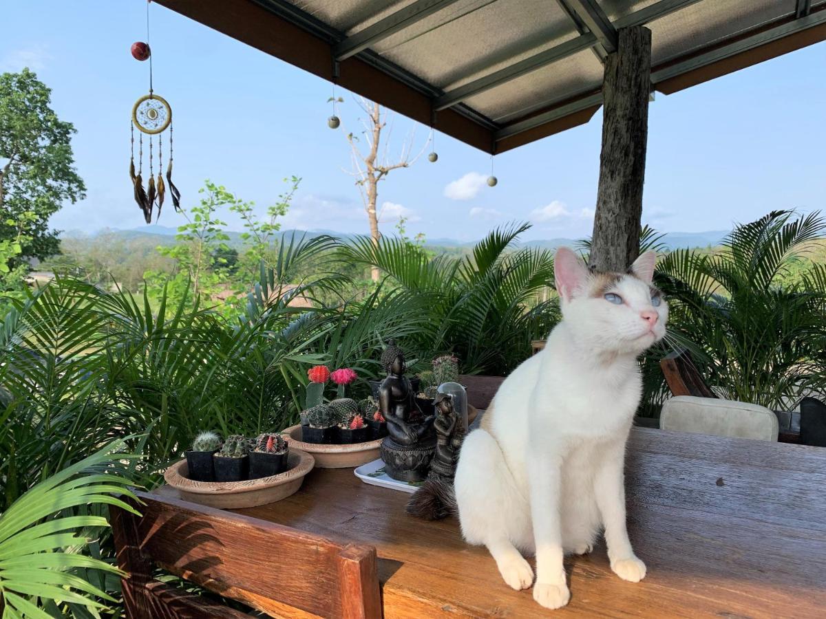 True Nature Chiang Mai - Yoga & Meditation Homestay Retreat Экстерьер фото