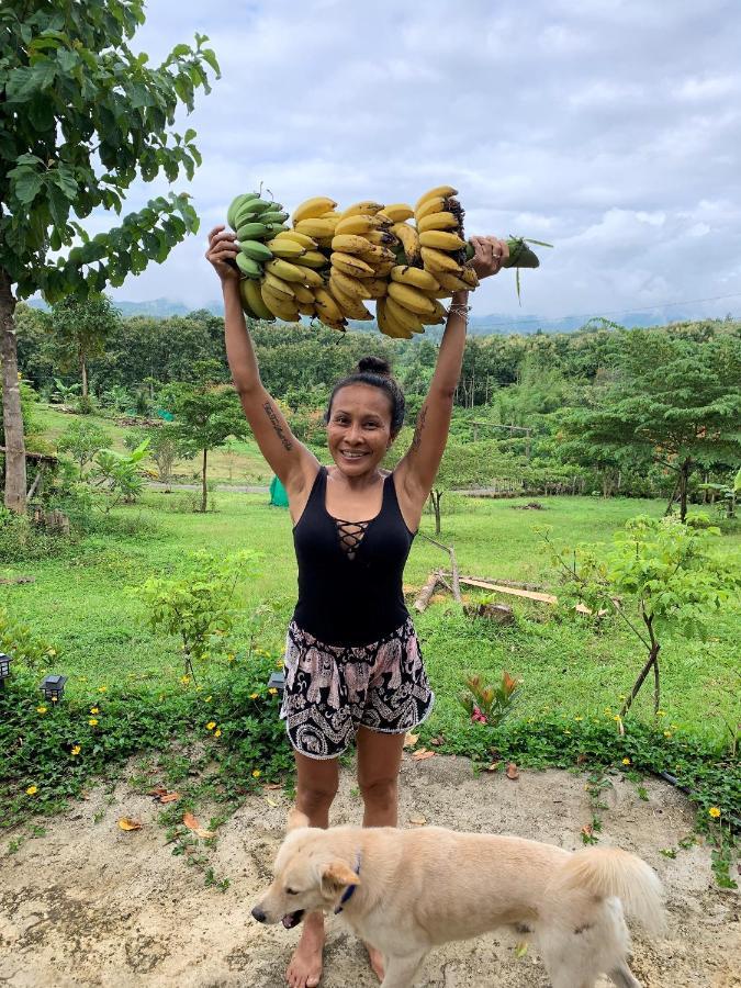 True Nature Chiang Mai - Yoga & Meditation Homestay Retreat Экстерьер фото